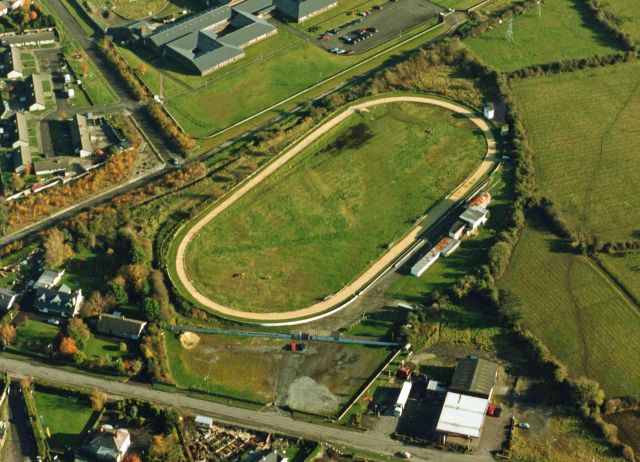 navan dog track